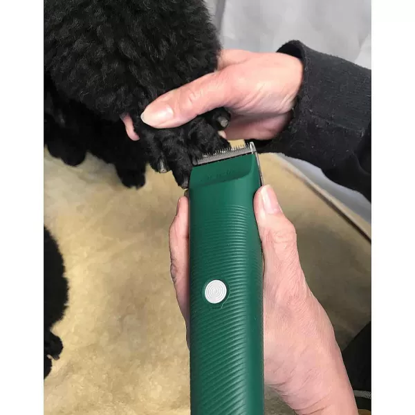 Cheap Andis Green Vida Cordless Clipper - Lithium-Ion Power Clippers