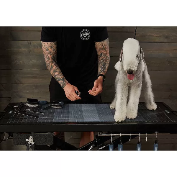 Hot Blackworks Stealth Cordless Grooming Table - Elite Model Grooming Tables
