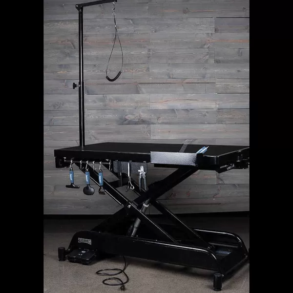 Hot Blackworks Stealth Cordless Grooming Table - Elite Model Grooming Tables