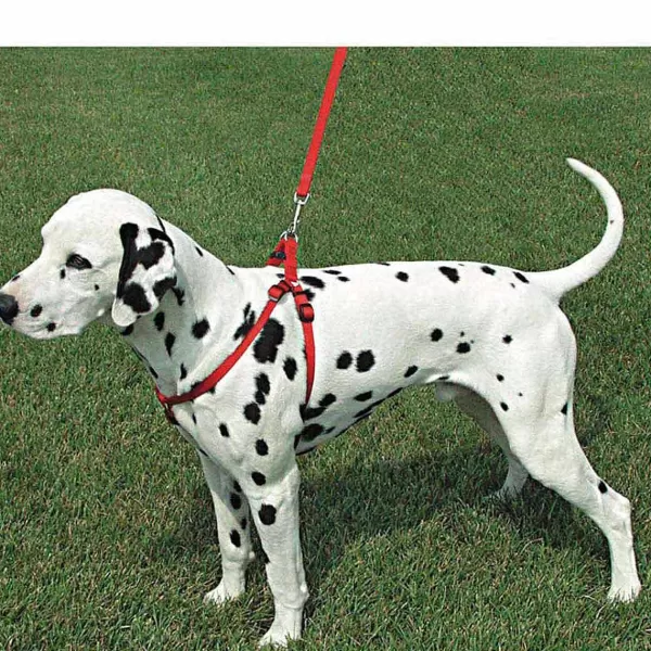 Online Coastal Comfort Wrap Large Step In Dog Harness 1" X 26-38" Harnesses