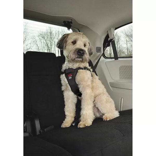 Best Coastal Easy Rider In Car Harness For Dogs - Small Travel Products