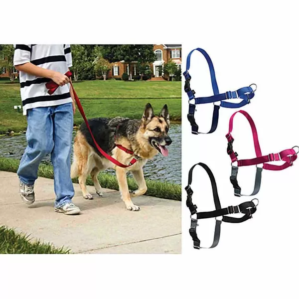 Sale Easy Walk Harness - Size Medium For Dogs 25 - 60 Lbs. Harnesses