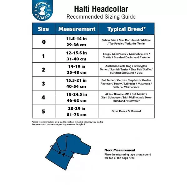 Shop Halti Training Collar Size 1 For Small And Active Dogs Training Collars