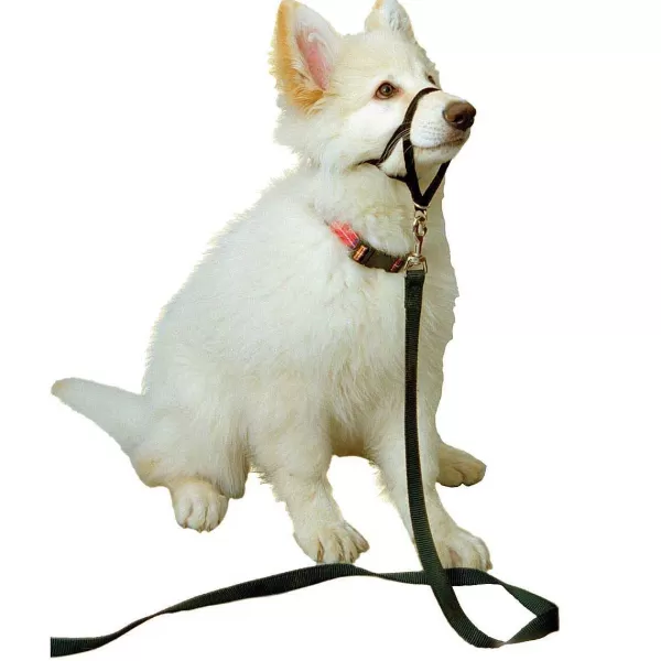 Sale Halti Training Collar Size Small For Small And Active Dogs Training Collars