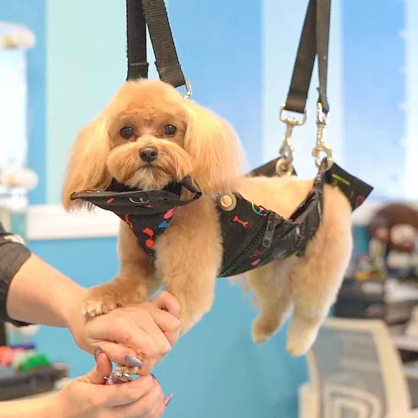 Outlet Loyalty Pet Products - Nail Grooming Hammock Arms, Loops & Accessories