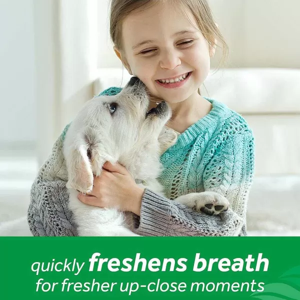 Clearance Tropiclean Fresh Breath Oral Care Fresh Mint Foam 4.5 Oz Dental Care
